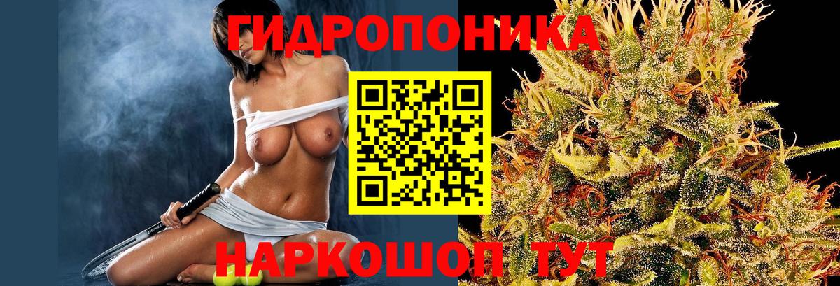 Каннабис White Widow Великий Новгород